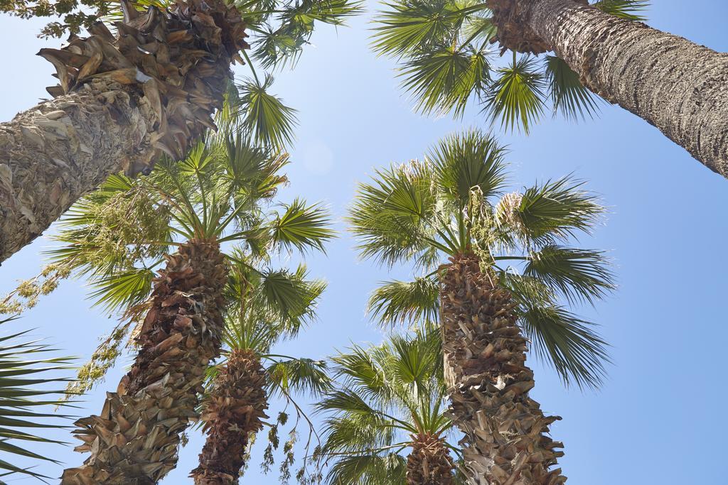 Meteor Beach Hotel Turgutreis Kültér fotó