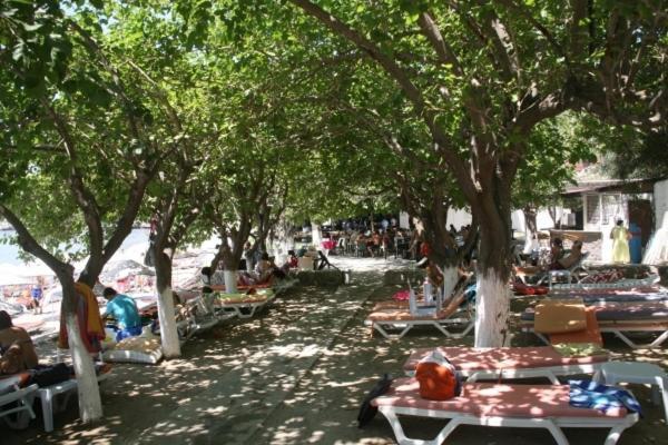 Meteor Beach Hotel Turgutreis Kültér fotó