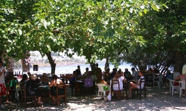 Meteor Beach Hotel Turgutreis Kültér fotó